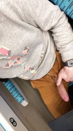 Davids secret: Exhibiție în tren