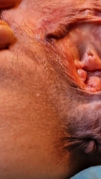 Close up on My Gaping Pussy and Ass
