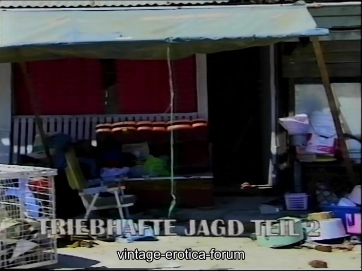 Euro Blue Movies: Triebhafte Jagd 2 (1990)