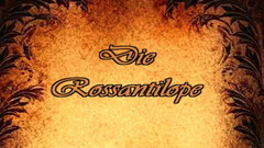 EroticPlanet XXX: 絹のクッションの上の異国的なカーマストラ情熱