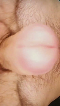 Will You Suck My Hairy Balls?