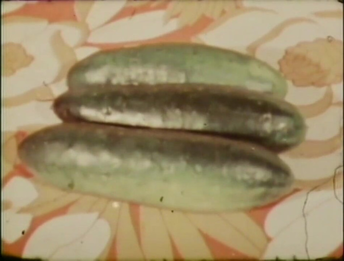Vintage Usa: 대물 자지를 따먹는 달콤한 젊은 빈티지 소녀