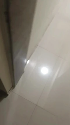팔디아 주