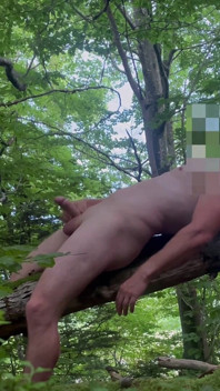 Я йшов у лісі і збудився