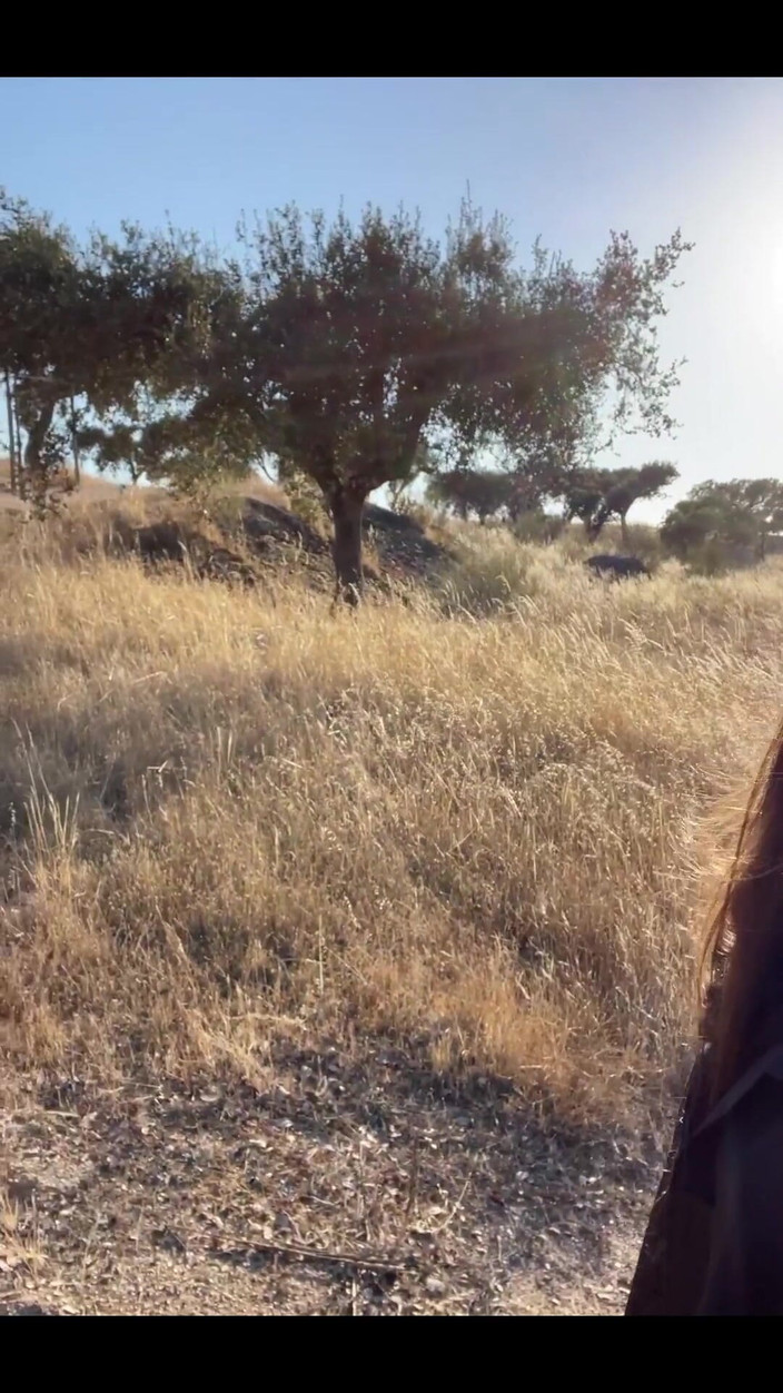 DaringKiara: Ready for My Next Video?
