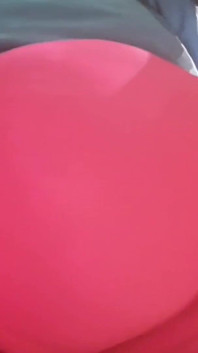 Rosa ausbeule, geht ins haus