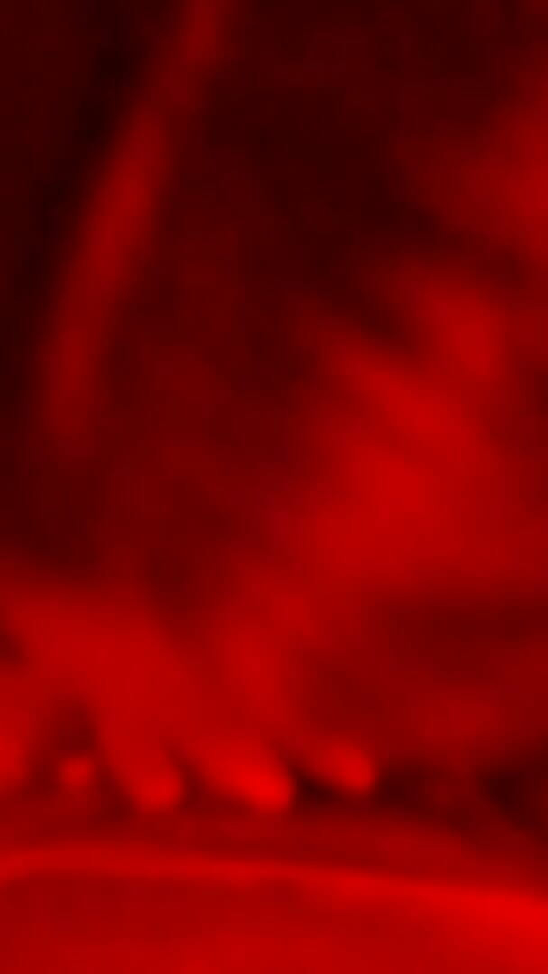 Marian sofar: Yarak emmede en iyisi!!