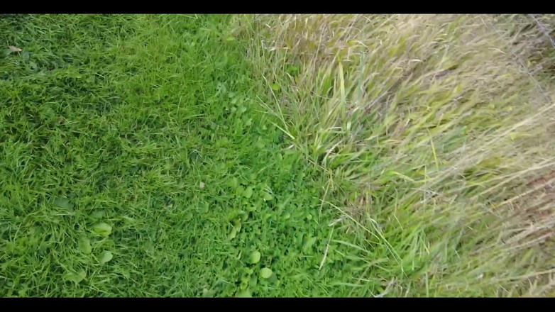 English Psycho: Fată trans blondă fierbinte Lily Adick este futută în pădure de...