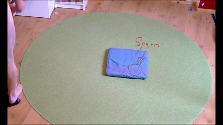 Mark Hannes: Schoonzus Slip Hump Masturbatie