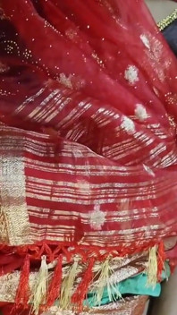 Bhabhi, sari rouge, enlève son doigtage anal