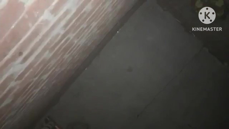 Savita5343: Mms Viral Pakistan. Pernikahan. Kamm Karda Pata Lagda