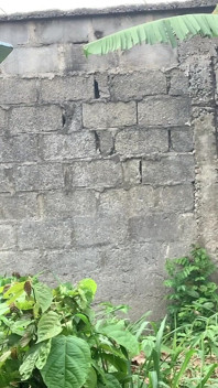 Stále na venkovní šukání zezadu s mým ebenovým chlapem