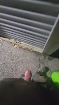 One Last Jerk at the Old Storage Unit.