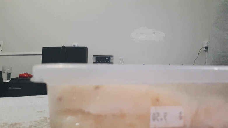 Bladexfeet: Розчавлювати ананас чоботами