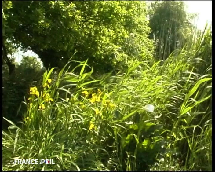 French Family Secrets: 操地狱，她很好！