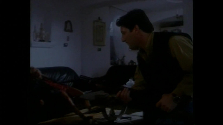 FM Video films: Sarah Young in：性感的特工第一部分 - （原版完整电影未删减）