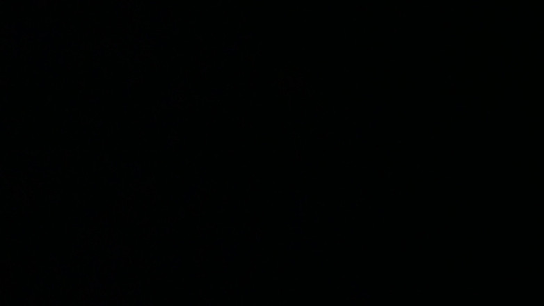 Adam Castle: Land Belles: BBW-Spaß mit Zwillingen