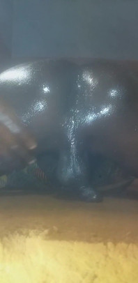 I Am Feeling Horny,so I Decided to Masturbate.