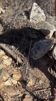 Masturbându-mi pizda păroasă în timp ce explorează natura