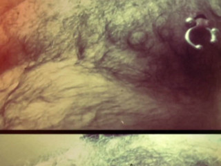 Phillholes: Another fat dildo and aain