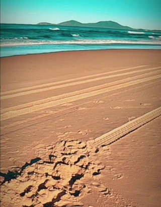 Madaussiehere: Ich probiere all meine Badeanzüge am strand an