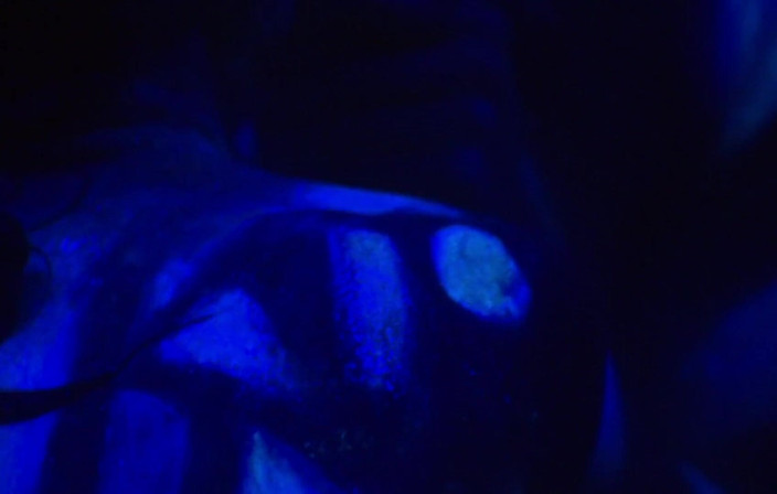 Radical Lesbian: fluorescent body paint girls.