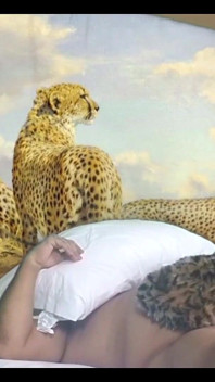 Disco Cheetah Girl Starring Lexi Luxurys Disemak