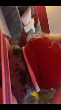 Let’s Deal with the Aftermath Tomorrow and Just Fuck Right Now?