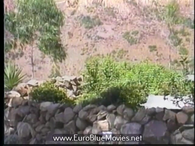 Euro Blue Movies: Roxy - 갱뱅 판타지 (1994)