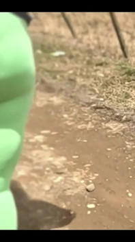 I Went for a Walk with My Friend's Stepmother and I Couldn't Stop Looking at Her Huge and Beautiful Ass in Yoga Pants