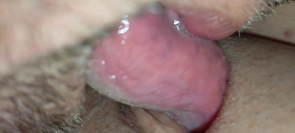 Creativeblondie: 我的阴户被舔