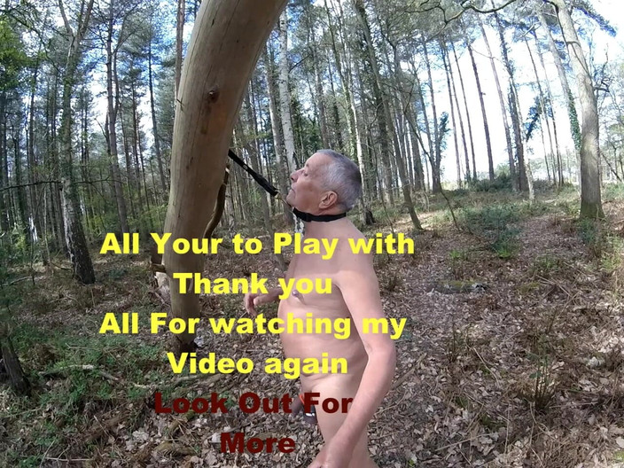 Andy: Plimbare 19 2025