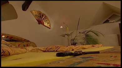 MCG Empire: जर्मनी हंगरी