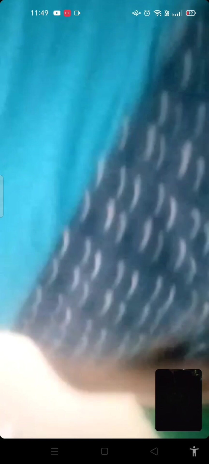 Benita sweety: Горячий разговор на видео с танго