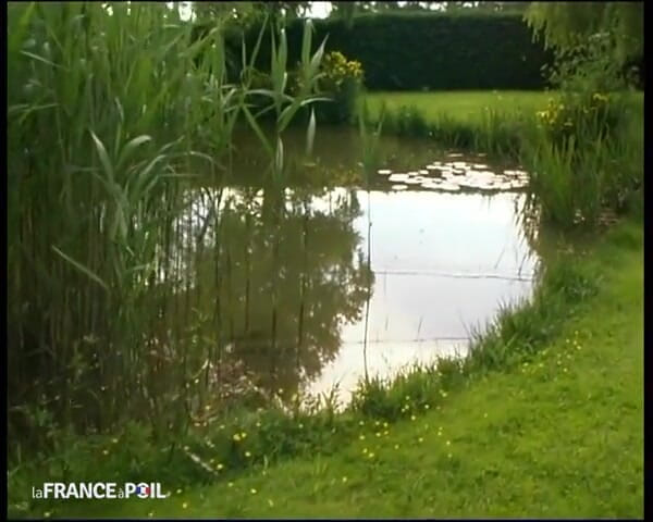 French Family Secrets: Mengongkek neraka, dia bagus!