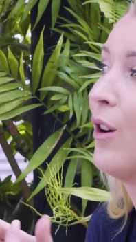 Top 5 des blondes, compilation de sodomies, partie 2