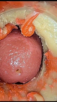 Kompilace Creampie Část 5 POV