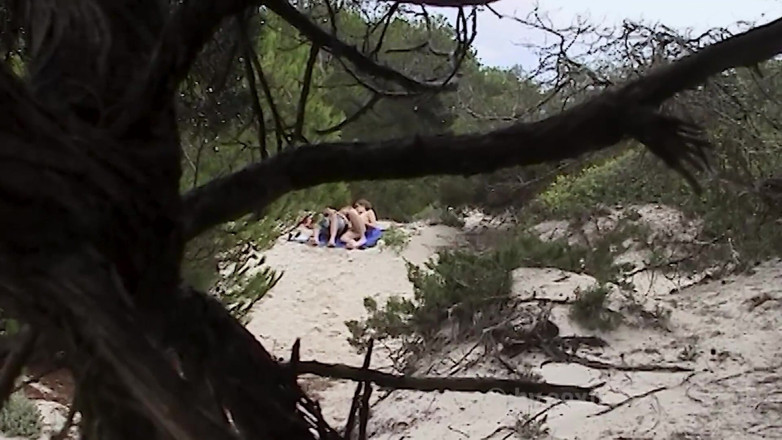Sextermedia by Pete: Couple Spied on While Fucking on the Beach