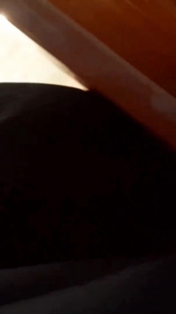 Selena's Sex Games After Coming Home