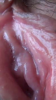 Close-up of a Plump Pussy
