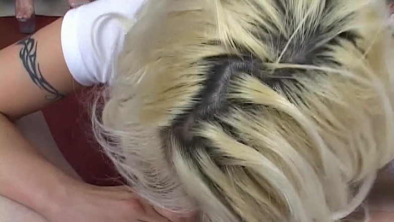 Watch Dirty Movies: College Dorm Blowjob Party - Horde of Horny Sluts Suck One...