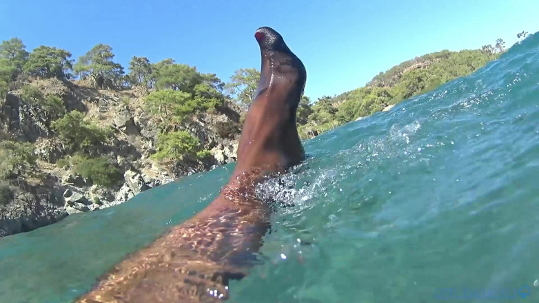 Nylondelux: Black Stocking in the Sea