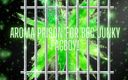 Goddess Misha Goldy: Aroma Prison pour bbc junky fagboy !