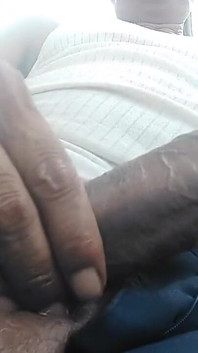 Big Cock Any Female Want