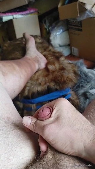 BigManShaman: Tugging the Cock