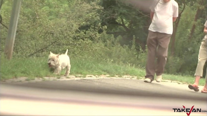 Take Van: Ragazze cattive in una scopata a tre con un ragazzo...