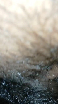 Une demi-sœur sexy se détend avec son demi-frère