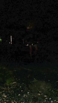 20240727_005357mp4