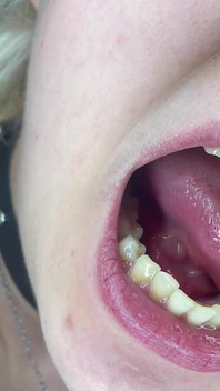 Mouth Tour