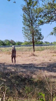 Slave Tih 2025